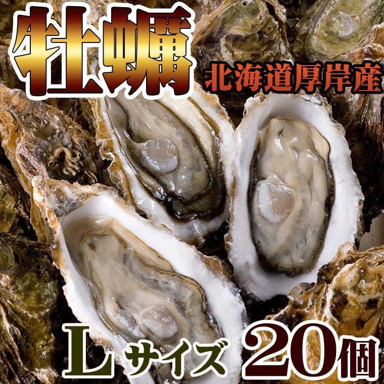 牡蠣 かき 送料無料 北海道 厚岸 殻付き Lサイズ(約20個) 冷蔵 生牡蠣 まるえもん ギフト 年末指定不可｜kanizen