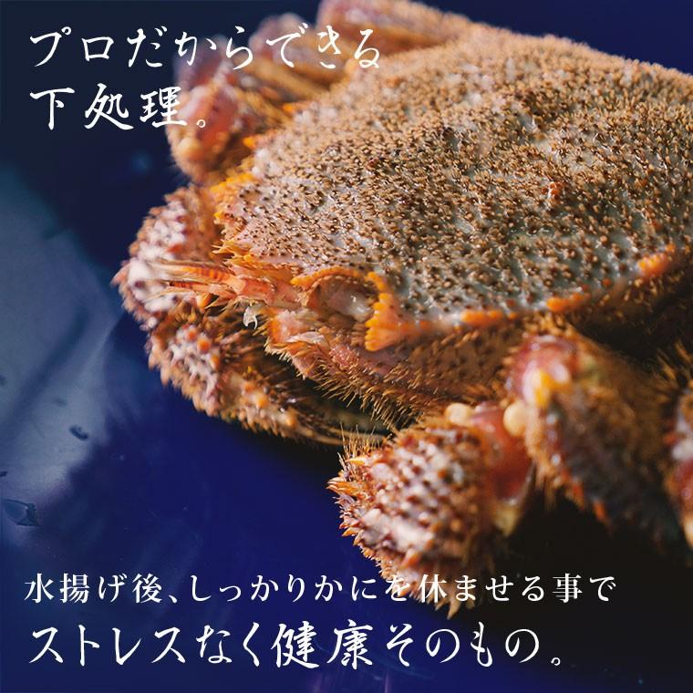 毛蟹 けがに 活毛ガニ 北海道産 冷蔵 訳あり 300g前後 5尾 : 北海道か 