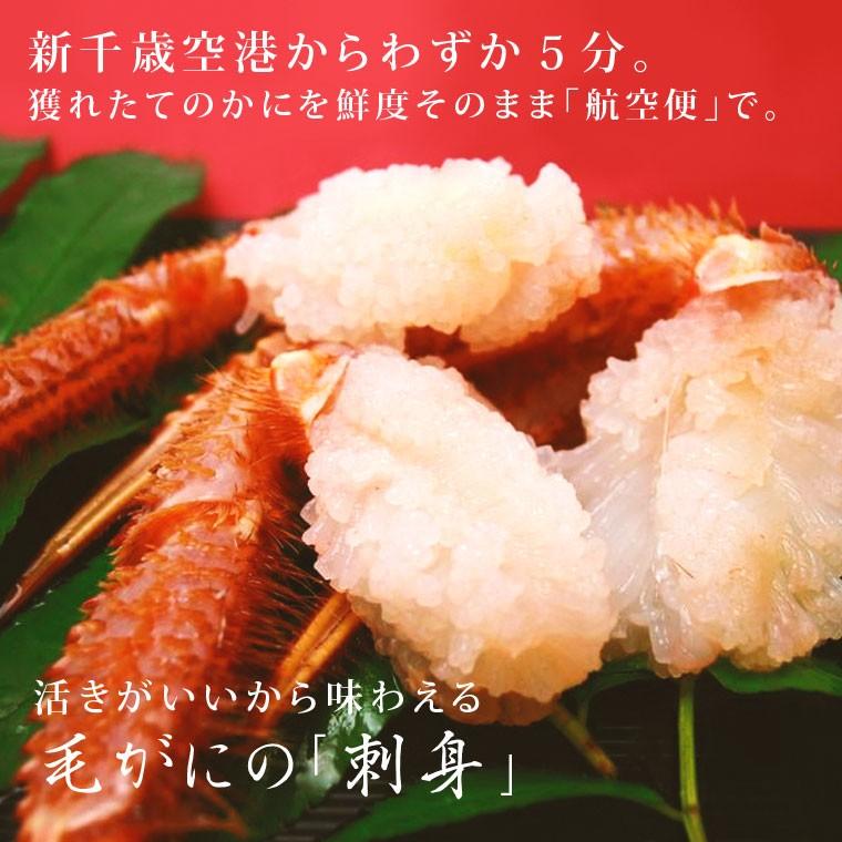 毛蟹 けがに 活毛ガニ 北海道産 冷蔵 訳あり 2尾(計900g) 大きさ不揃い 大 小 年末指定不可｜kanizen｜02