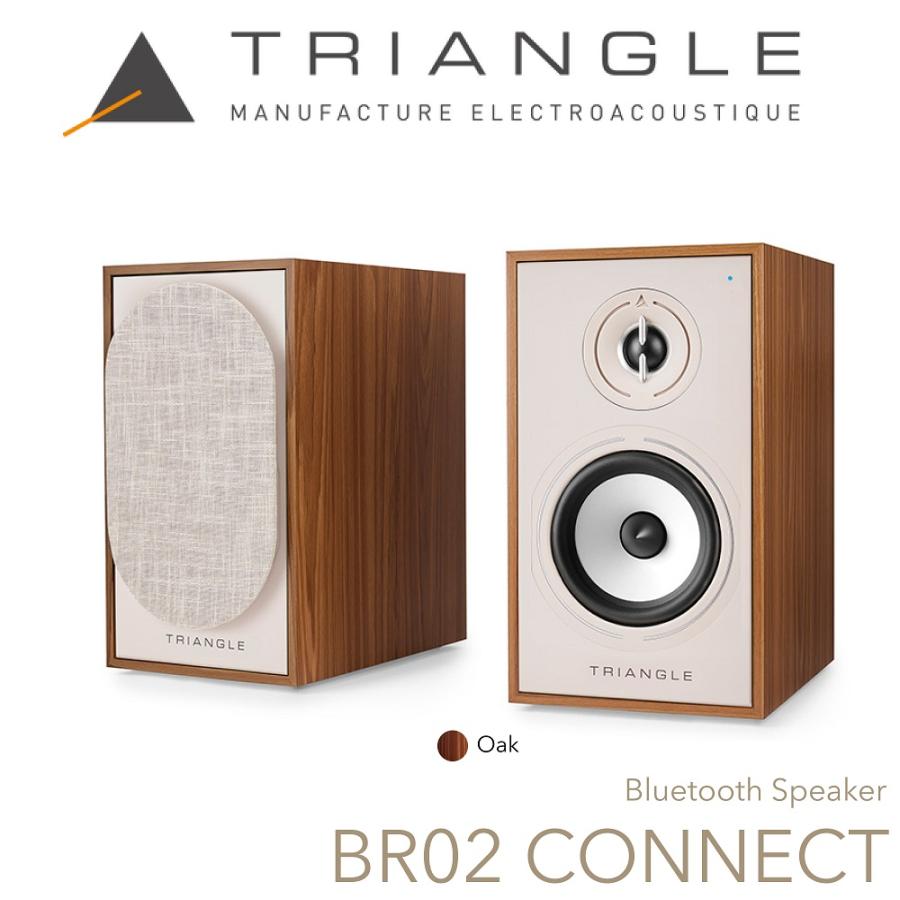 TRIANGLE（トライアングル） アクティブスピーカー BR02 CONNECT（ペア
