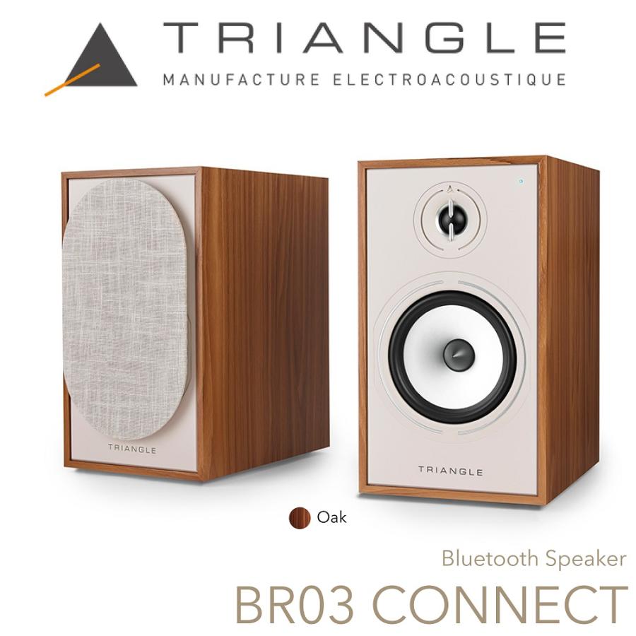 TRIANGLE BOREA 03 CONNECT スピーカー TRIANGLE（トライアングル） アクティブスピーカー BR03 CONNECT（ペア