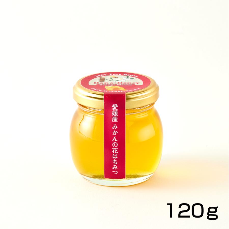 基本の蜂蜜セット120g×3本 【みかんの花・春・夏】 |  | 01