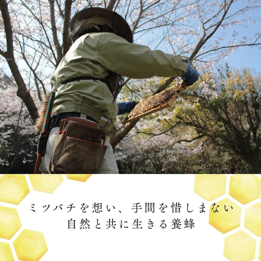 基本の蜂蜜セット120g×3本 【みかんの花・春・夏】 |  | 05