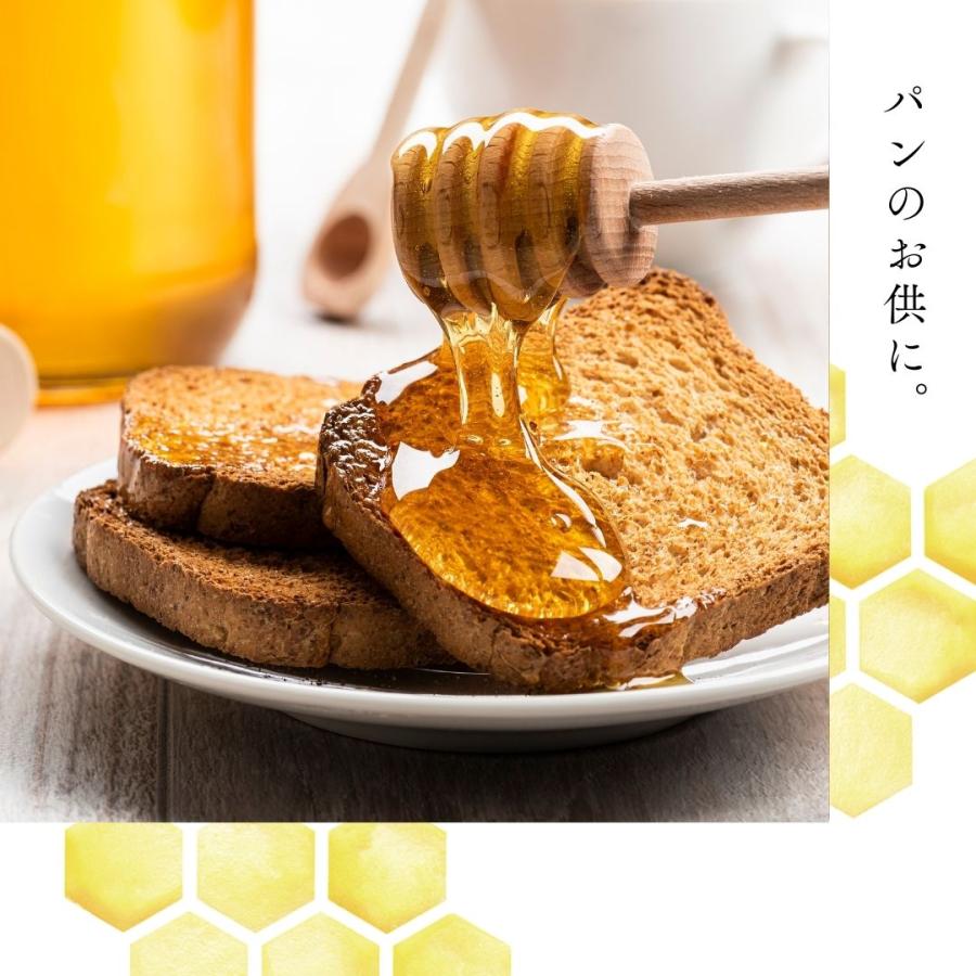 基本の蜂蜜セット120g×3本 【みかんの花・春・夏】 : 完熟屋