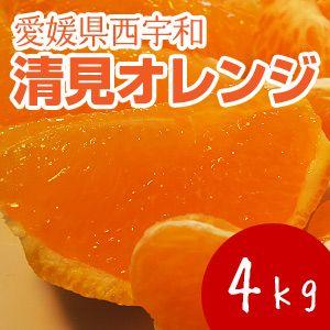 清見オレンジ4kg | 