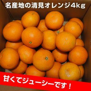 清見オレンジ4kg |  | 05