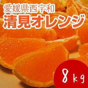 清見オレンジ8kg｜kanjyukuya