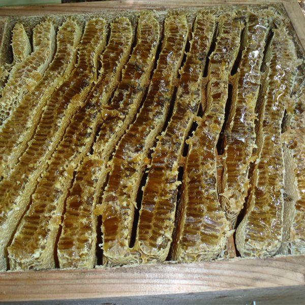 日本ミツバチの2年蜂蜜 120g : 完熟屋 BEEFRIENDSHIP - 通販 - Yahoo