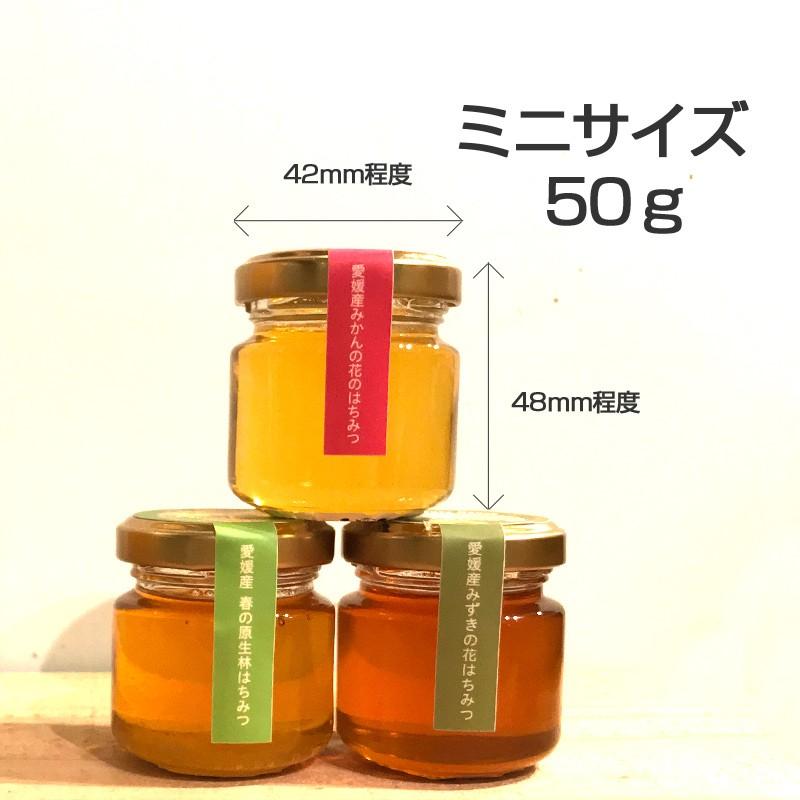 蜂蜜お試し50g×6本(甘夏・春・夏・秋・桜・アカシア) : 完熟 蜂蜜お試し50g×6本(甘夏・春・夏・秋・桜・アカシア) : 完熟