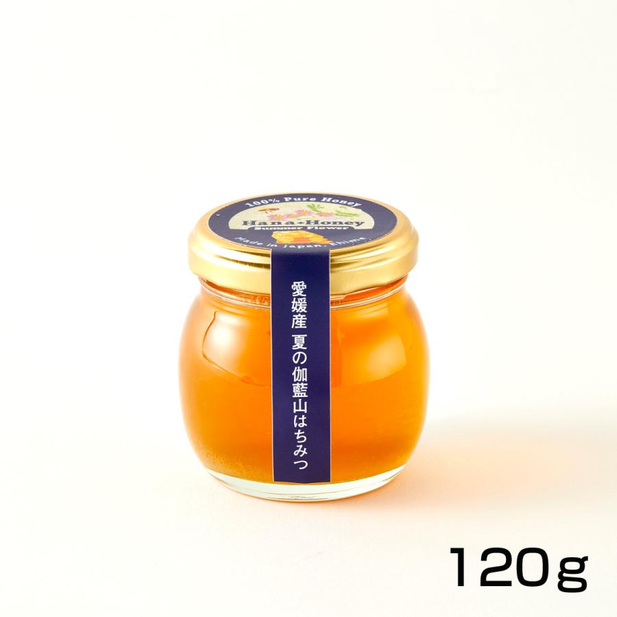 はちみつワークス 夏の伽藍山はちみつ 120g : 完熟屋 BEEFRIENDSHIP - 通販 - Yahoo