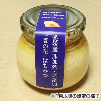 夏の伽藍山はちみつ 330g×12本 (3.96ｋｇ)の画像