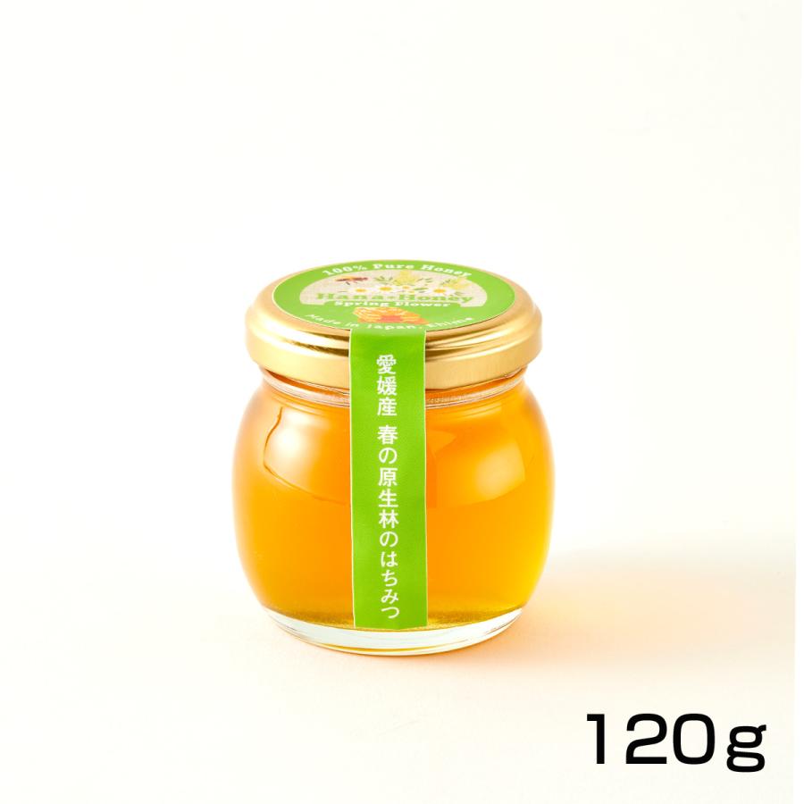 春の原生林はちみつ　120ｇ | 