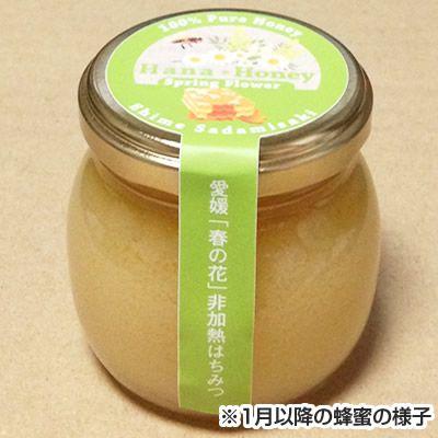 春の原生林はちみつ　120ｇ |  | 04
