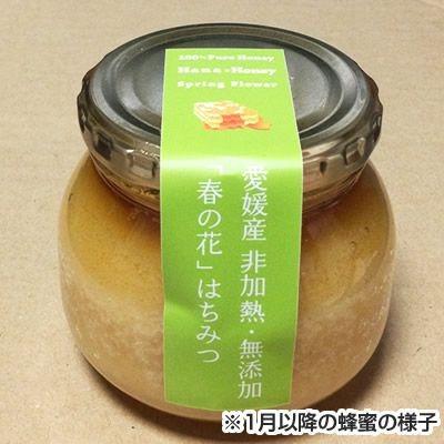 春の原生林はちみつ 330g×12本 (3.96ｋｇ)の画像