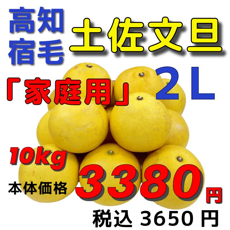高知宿毛産】「家庭用」土佐文旦10kg2L : ハッピーかんきつ市場