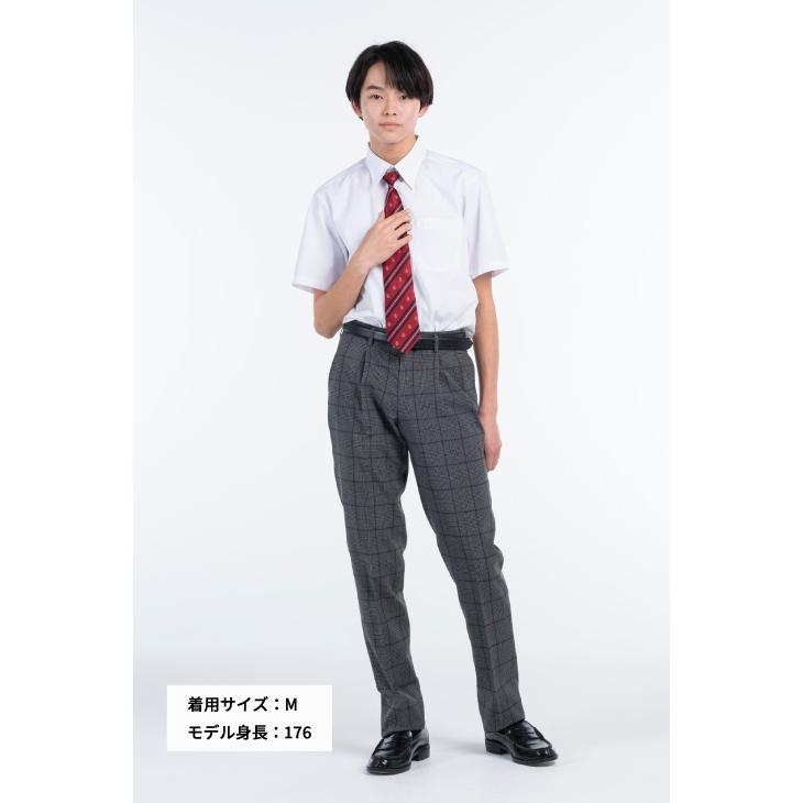 KANKO Harajuku Select 学生服 ズボン 夏 洗濯 グレー 男子 高校生 