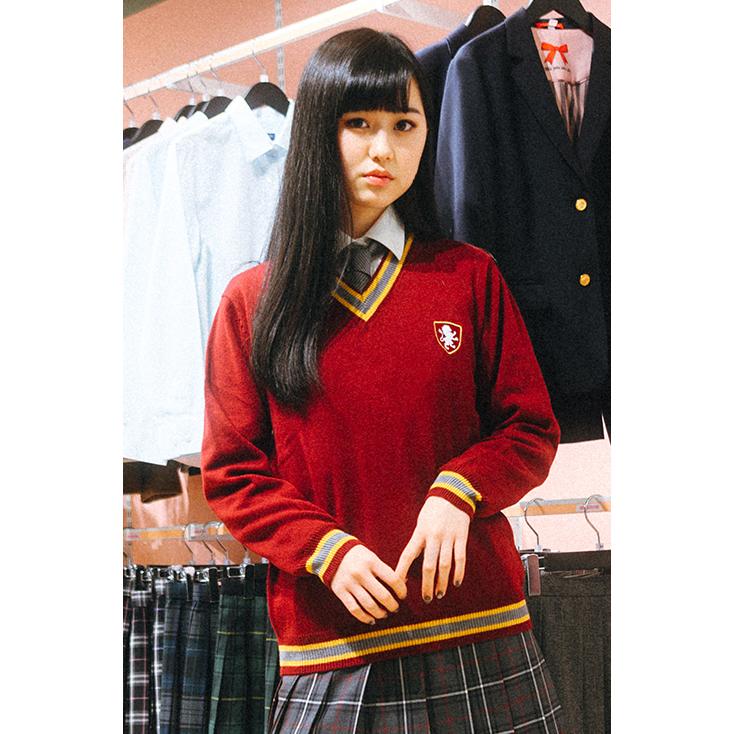 KANKO Harajuku Select セーター vネック ライン ハリーポッター