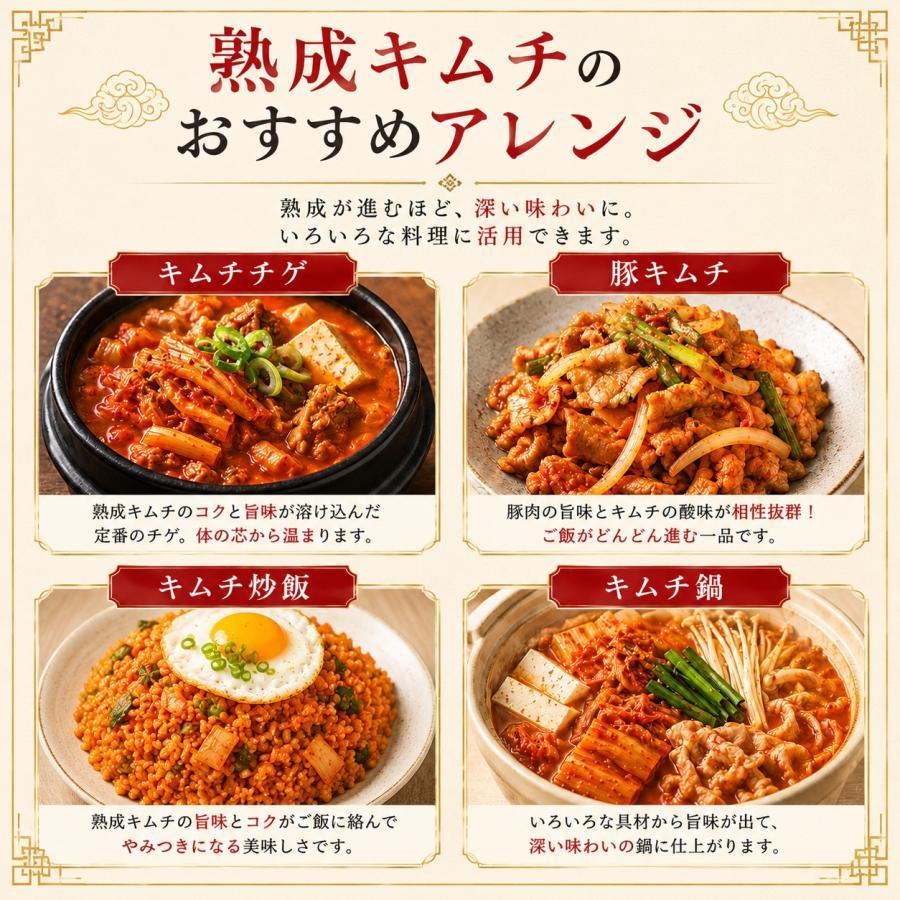 冷]熟成 イェソダム ポギキムチ 5kg 白菜キムチ 大容量 韓国産100