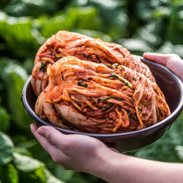 冷]韓国産 業務用 キムチ 5kg イェソダム 白菜キムチ ポギキムチ 本格