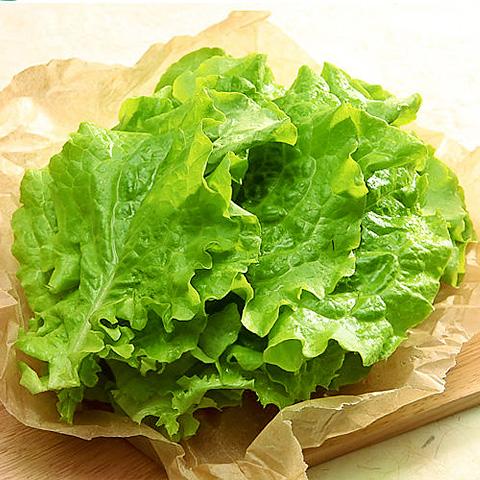 冷]サンチュ 1箱(100枚) 日本産 大量 野菜 焼肉 レタス 韓国市場 爆買