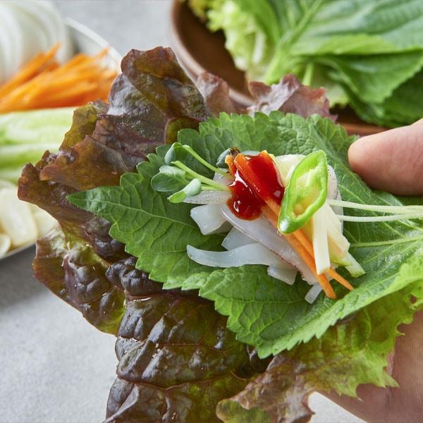 冷]サンチュ 1箱(100枚) 日本産 大量 野菜 焼肉 レタス 韓国市場 爆買