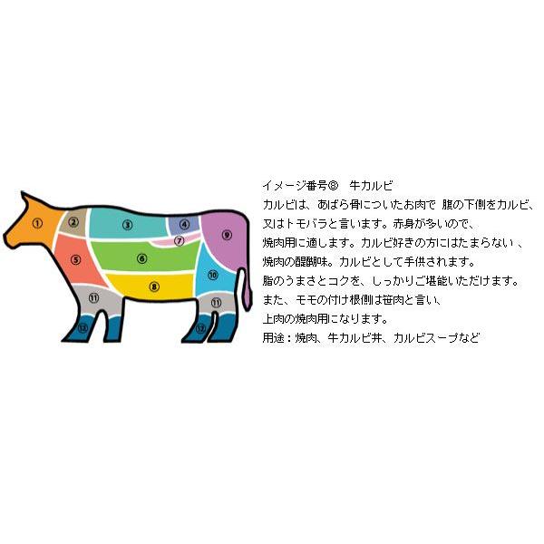 [凍]ピョルチン牛カルビ（ボーンインショートリブ）1kg/アメリカ産/韓国焼肉/BBQ｜kankoku-ichiba｜06