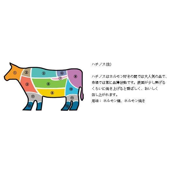 [凍]牛 ハチノス 1kg オーストラリア産 韓国焼肉/ホルモン 韓国市場 爆買 : 韓国市場 - 通販 - Yahoo!ショッピング
