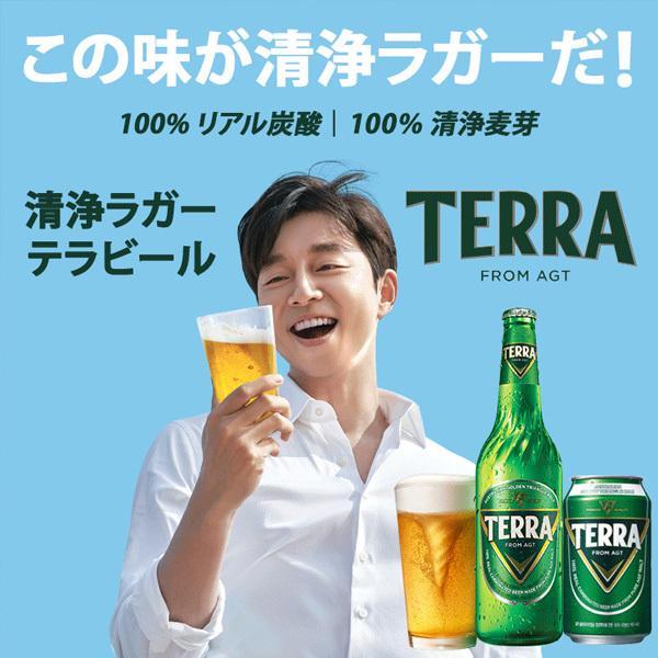 jinro] テラ ビール(瓶ビール 500ml×1本) TERRA 眞露ビール : 韓国市場