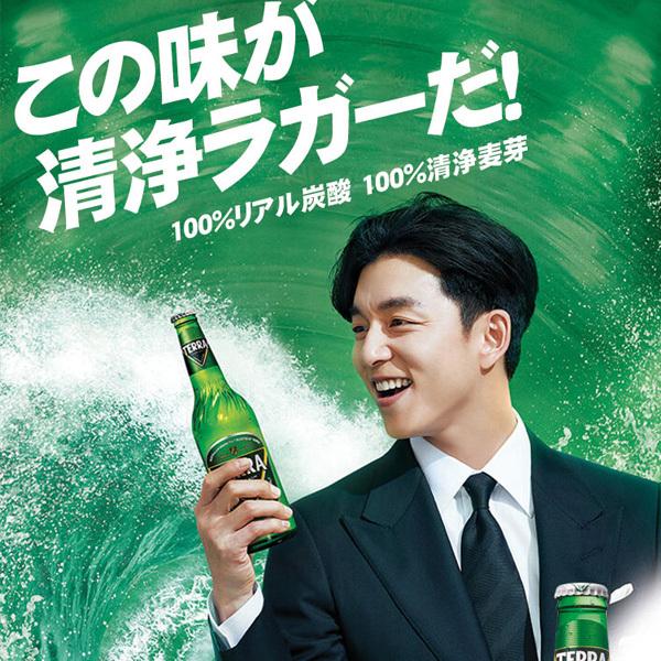 jinro] テラビール(缶ビール・355ml×1本) TERRA 眞露 ビール : 韓国
