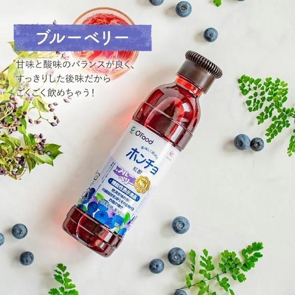 [清浄園]飲む紅酢(ホンチョ) ブルーベリー味 900ml×12本×680円 / 【賞味期限：26/6/19】チョンジョンウォン 飲むお酢 健康飲料 韓国飲み物 韓国食品の画像