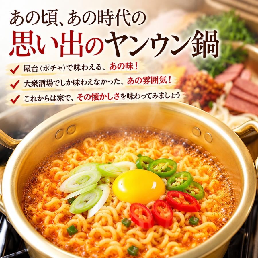 洋銀黄鍋 14cm韓国 ラーメン鍋 蓋付き 韓国市場 爆買 : 韓国市場