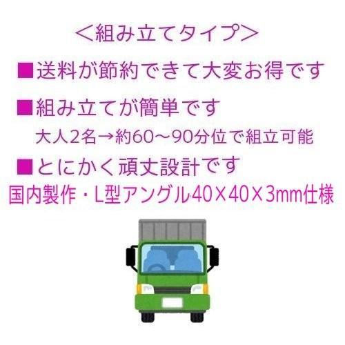 町内のゴミステーションA型標準#800（カラス対策・細目メッシュ）2枚扉・組立簡単・個人名宅への配達不可・本州地域送料無料の画像