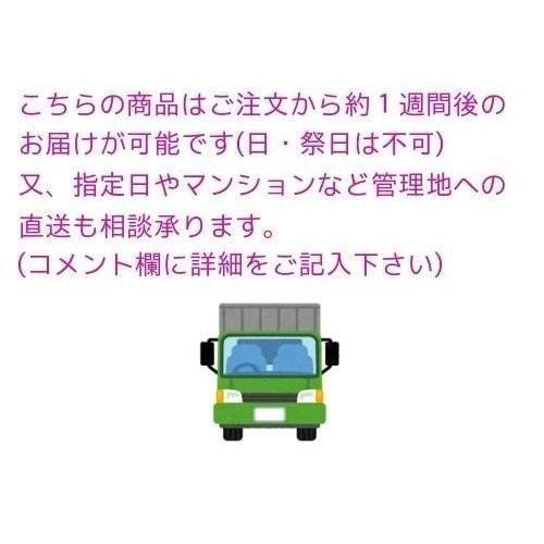 ステンレス製ゴミ収納B0X　FH-120M（奥行65cmタイプ）575L完成品＜北海道・沖縄県・離島・山岳地域は別途送料が必要です＞_5