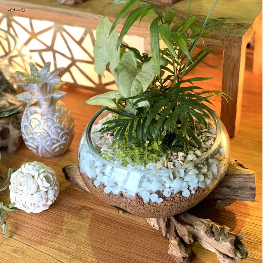 Bali 流木ガラスフラワーベース 2 W29 40cm 置物 オブジェ 花瓶 飾り 花器 バリガラス ガラス new Kanmuryou 通販 Yahoo ショッピング