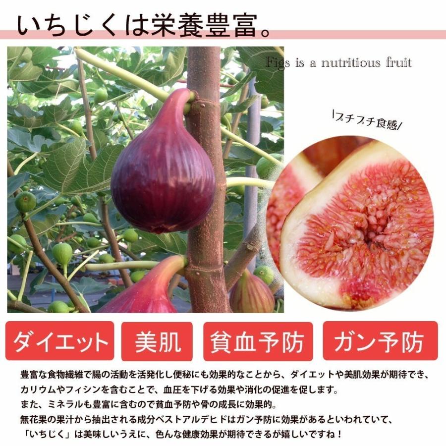 400g】田中いちじく農園の朝採りいちじくジャム(400g) いちじくジャム