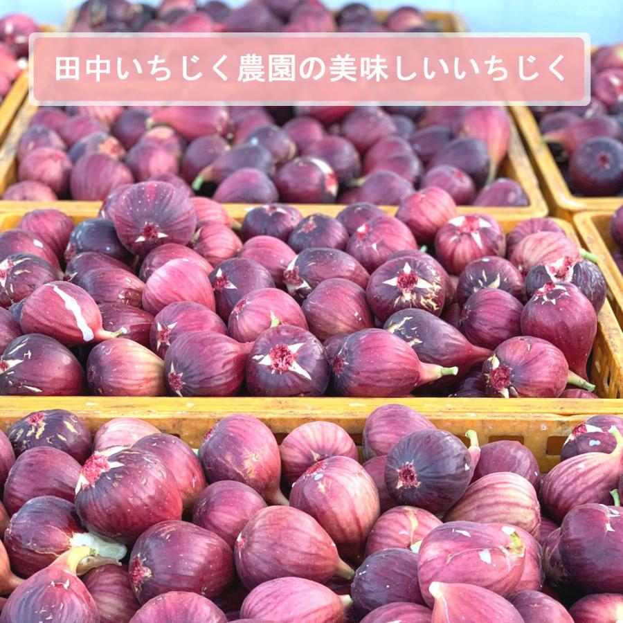 400g】田中いちじく農園の朝採りいちじくジャム(400g) いちじくジャム