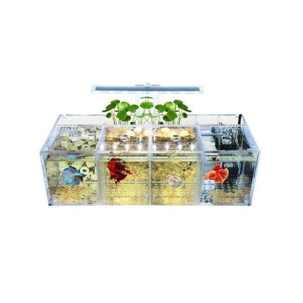 水槽 ペット ベタ 魚飼育用 アクリル 分離 小さい 水槽 自由 水ポンプ 38.1x14.6x12cm