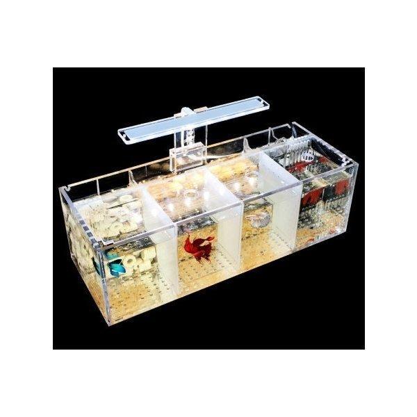 水槽 ペット ベタ 魚飼育用 アクリル 分離 小さい 水槽 自由 水ポンプ 38.1x14.6x12cm 水槽 ベタ グリッドロング 6x高