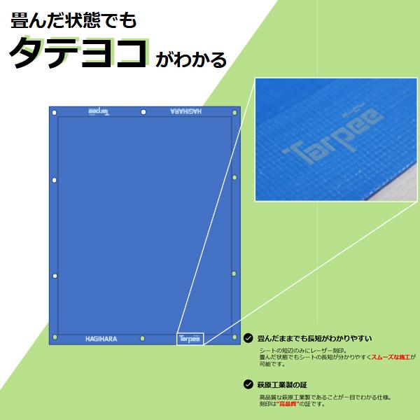 萩原工業 ターピー エコフレンドシート(L) #3000 3.6m×5.4m 10枚入 2間 