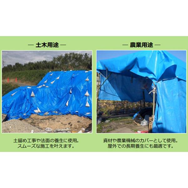 萩原工業 ターピー エコフレンドシート(L) #3000 3.6m×5.4m 10枚入 2間 