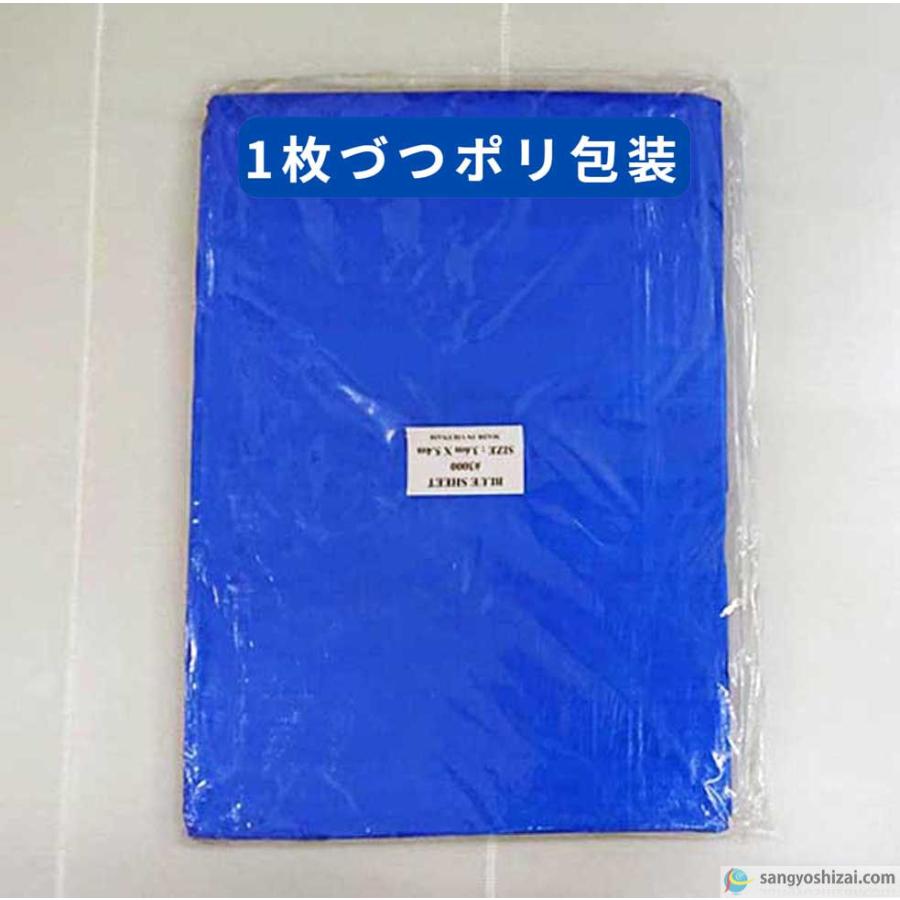 ブルーシート #3000 135G 厚手タイプ 10m×10m 2枚入 工事用シート 養生