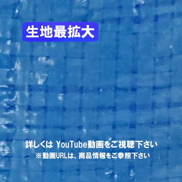 ブルーシート 薄手 軽量 3.6m×5.4m 10枚入 2間×3間 2K×3K 養生シート 使い捨て 台風 防災 備蓄 雨よけ 日よけ 防水 カバー 農作業｜kanno｜02