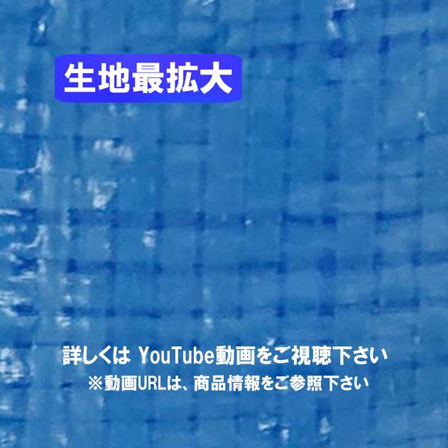 ブルーシート 薄手 軽量 10m×10m 2枚入 養生シート 使い捨て DIY 台風