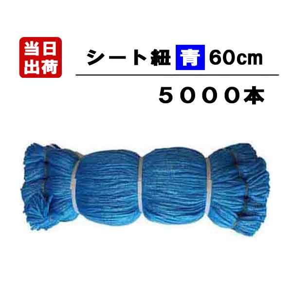 シート紐 60cm 青 5000本入 足場用 組ひも 結束 ロープ ひも 仮設 現場 メッシュ 防炎 ブルーシート用 ビニール紐 ブルー | ブランド登録なし