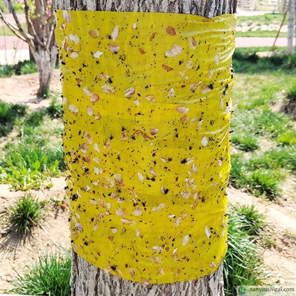 野村モミジ　株立ち　黄色テープ6 捕虫テープ ムシトロン 黄色 両面粘着 ロール 幅10cm×約100m ○6巻入