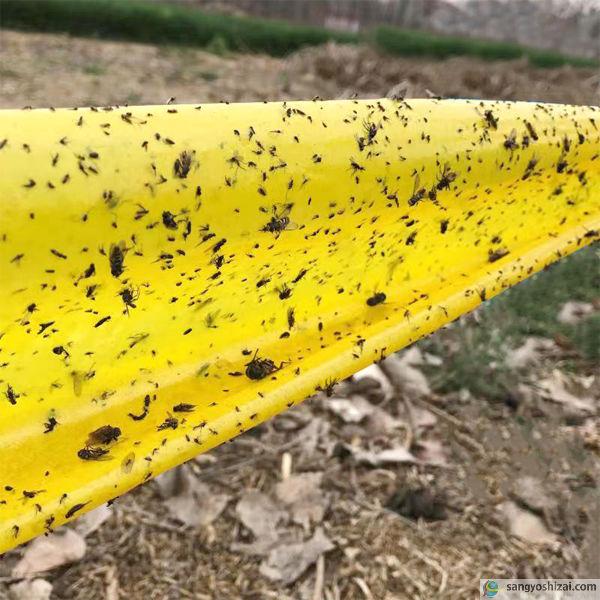 捕虫テープ ムシトロン 黄色 両面粘着 ロール 幅10cm×約100m ○6巻入