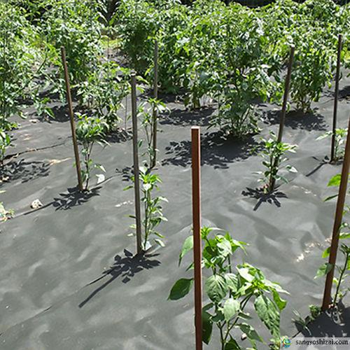 防草シート 不織布 ポリエステル PET 密度100G 2m×50m 100g平米 農用