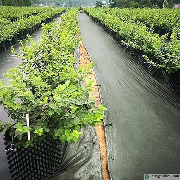 【新品】本格ポリエステル不織布 防草シート(グリーン)　巾1m×50m 新品】本格ポリエステル不織布 防草シート(グリーン) 巾1m×50m