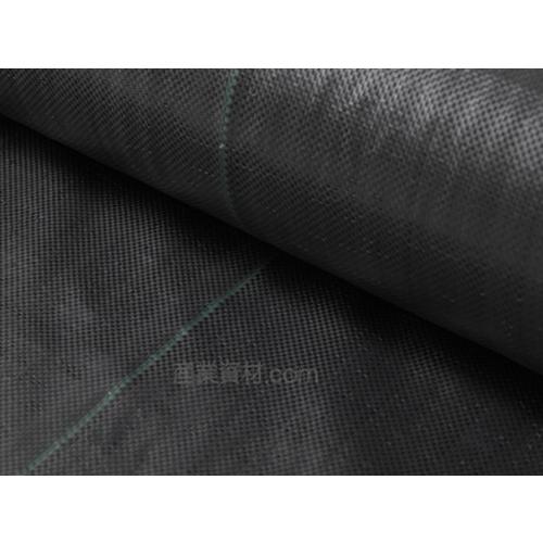 防草シート 密度105G 2m×100m UV剤入 ブラック 105g平米 農用シート 除草シート 草よけ 雑草対策 防止 砂利下 人工芝下 DIY 造園 園芸 ガーデニング KSシリーズ | ブランド登録なし | 01