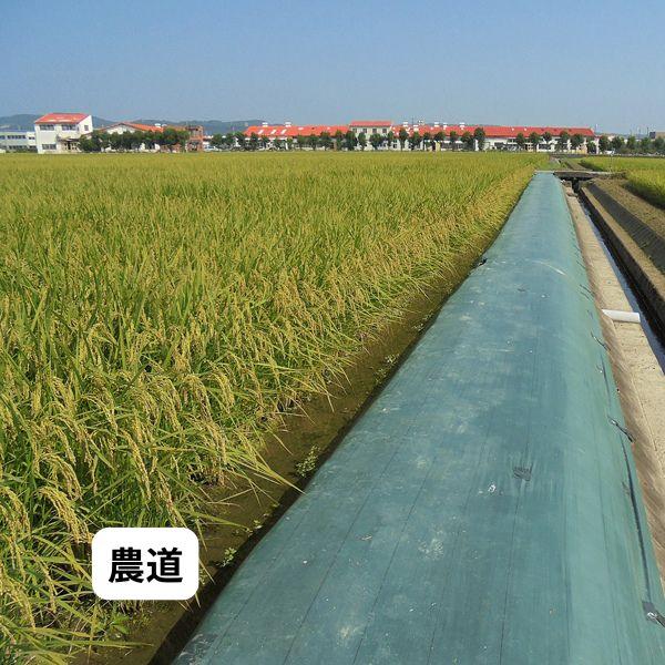 防草シート 密度135G 1m×100m グリーン UV剤入 抗菌剤入 135g